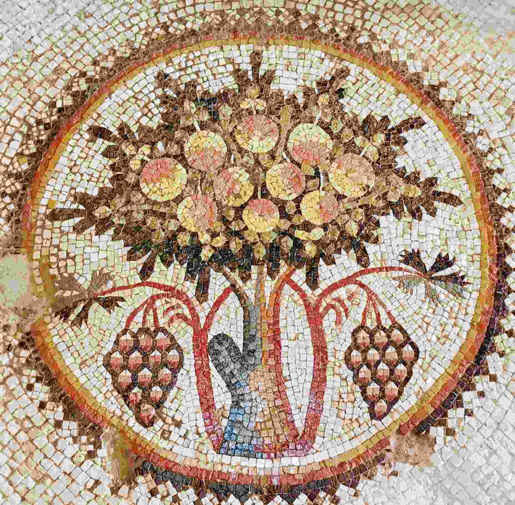 Madaba Archaeological Park - Tree of Life mosaic Dead Sea Mt. Nebo Jordan