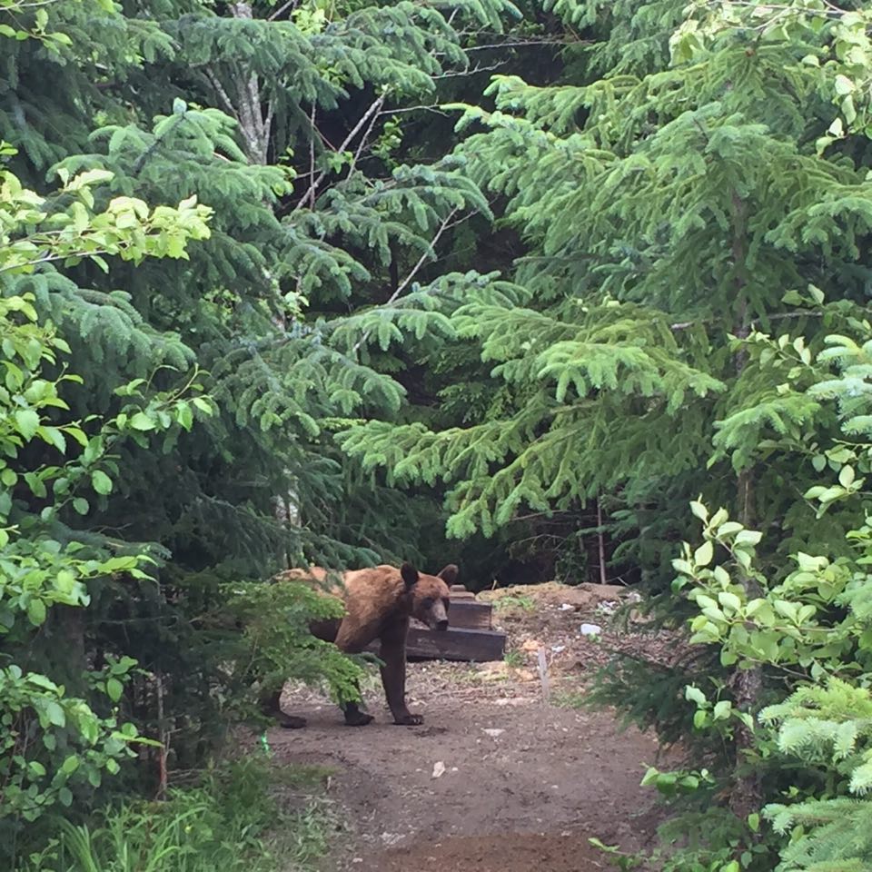 Kitimat Hiking Trails, Hiking in Kitimat