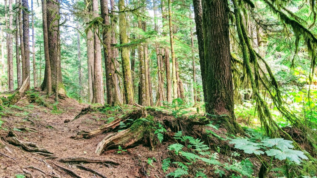 Outdoor adventures Kitimat