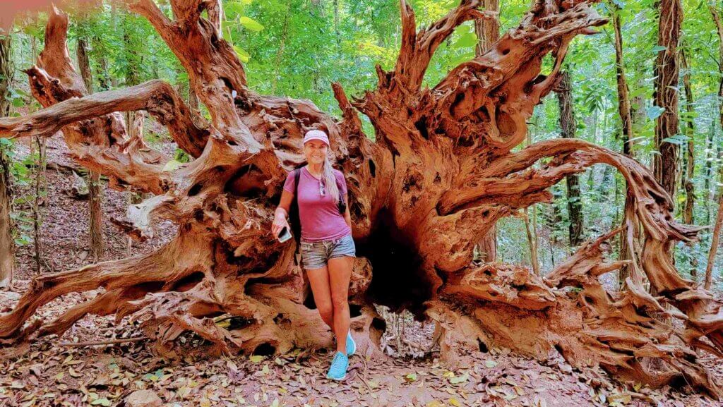 Sri Lanka tourist attractions