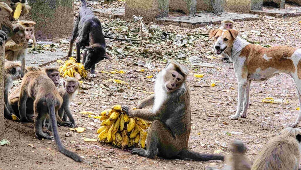 Sri Lanka top 10 places