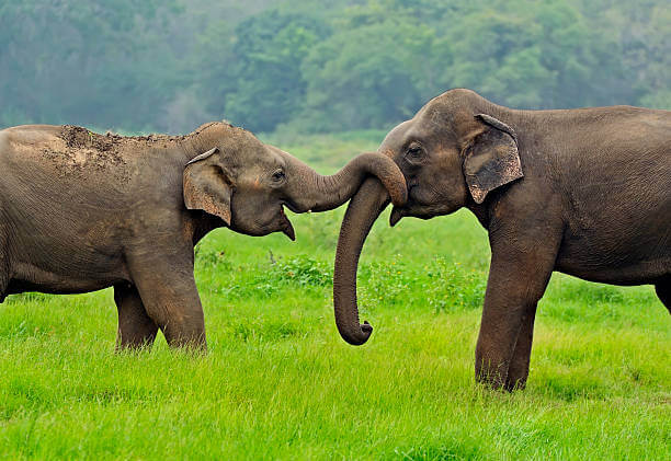 Sri Lanka top 10 places