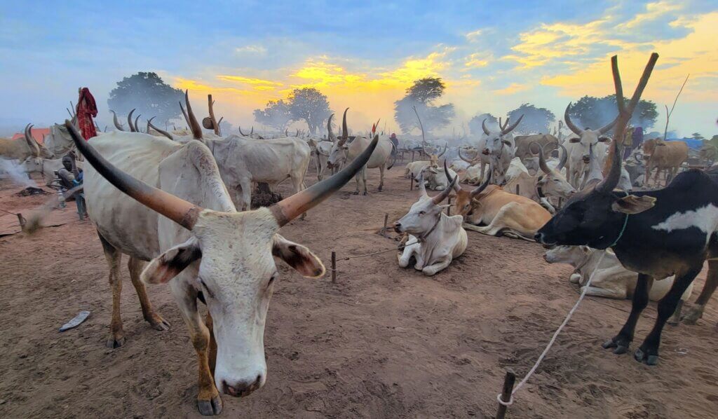 Mundari Tribe South Sudan