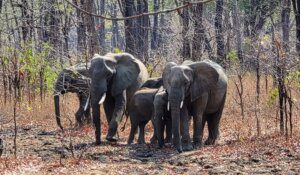 Malawi travel