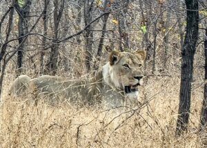 Malawi travel
