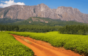 Visit Malawi