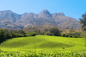 Malawi tourism